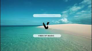 Quincas Moreira - Disco Knights