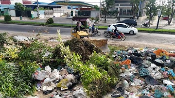 Amazing Start New Project!! Delete Garbage Dump By Skill Dozer Clear Grass, Tree and Pushing Garbage