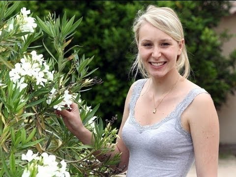 Hot marion maréchal-le pen Marine Le