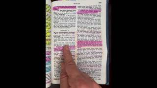 Bible readings Acts chapter 4 part 1 #bible #biblereading #audiobiblereading #love #john21 #mygod