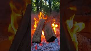 🔥Campfire. Relaxing Ambience with Crackling Fire Sounds