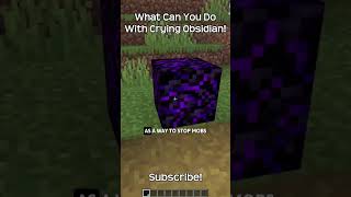 What Can You Do With Crying Obsidian In Minecraft?!