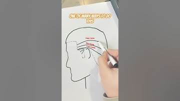Basic guide for tapers and fades #hairstyle #fade #skinfade #haircut #barber #taper #hair #fadehair