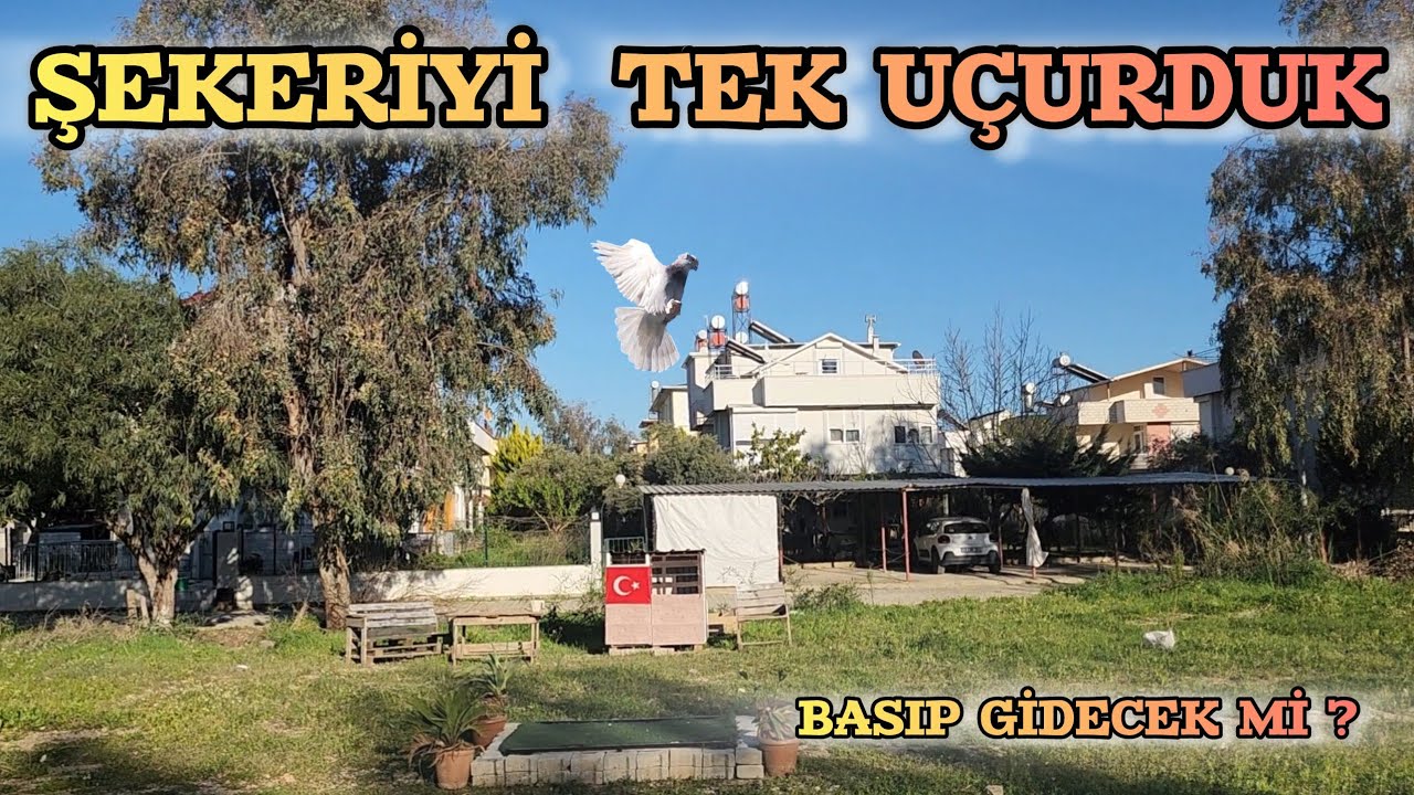 Bir Çılgınlık Yapıp Yeni Kümesimizde Şekerimizi Teke Uçurdum