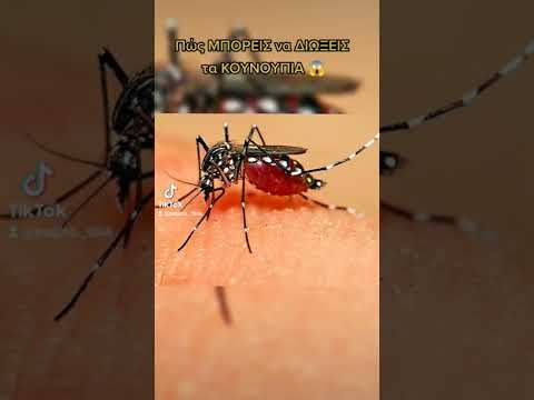 Βίντεο: 3 τρόποι για τον έλεγχο των κουνουπιών