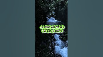 تلاوة تهز القلب من سورة الزمر بصوت هادئ ومريح 🌙✨