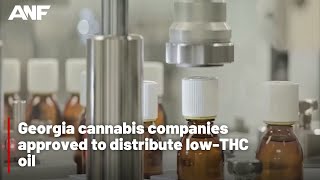 Georgia cannabis companies approved to distribute THC oil