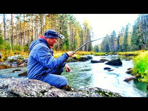 Как во сне! Дикий жор на палку в ручье! Воды по колено, а рыбы много! Рыбалка в тайге