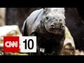 Conservation Technology and Wildlife Protection