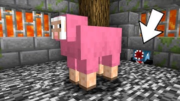 Operation: Yoink The Sheep