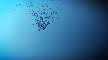 Intro Acuarius - Template After Effects CS6/CC - Free Project