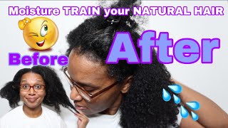 The BEST TIPS to Moisturize Dry Natural Hair | Keep Your Hair Moisturized for 10 days