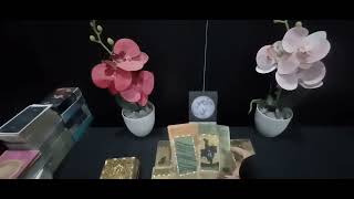 Download Lagu ❤️SIAP-SIAP..‼️YANG AKAN SEGERA MENDEKATI DIRIMU DALAM WAKTU DEKAT ENERGY UPDATE 👉💯📞👫🤔🫢🥳 MP3