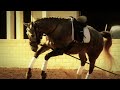 HRTV.com Promo Coming at You - English