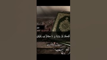 آيات القرآن الكريم سورة الزمر