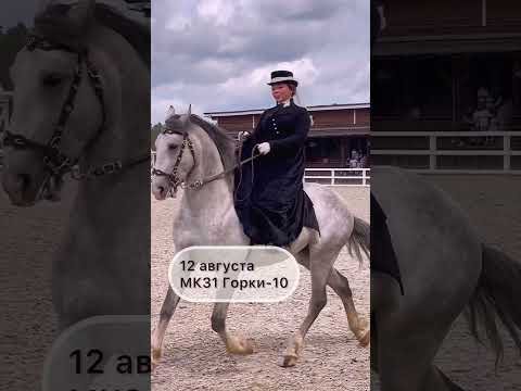 Video: V dostihu je 18 koní?