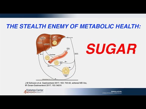 Eating Precisely: Merging Nutrition with Individualized Factors to Optimize Metabolic Health