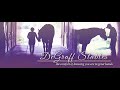 DeGraff Stables Stallion Collection