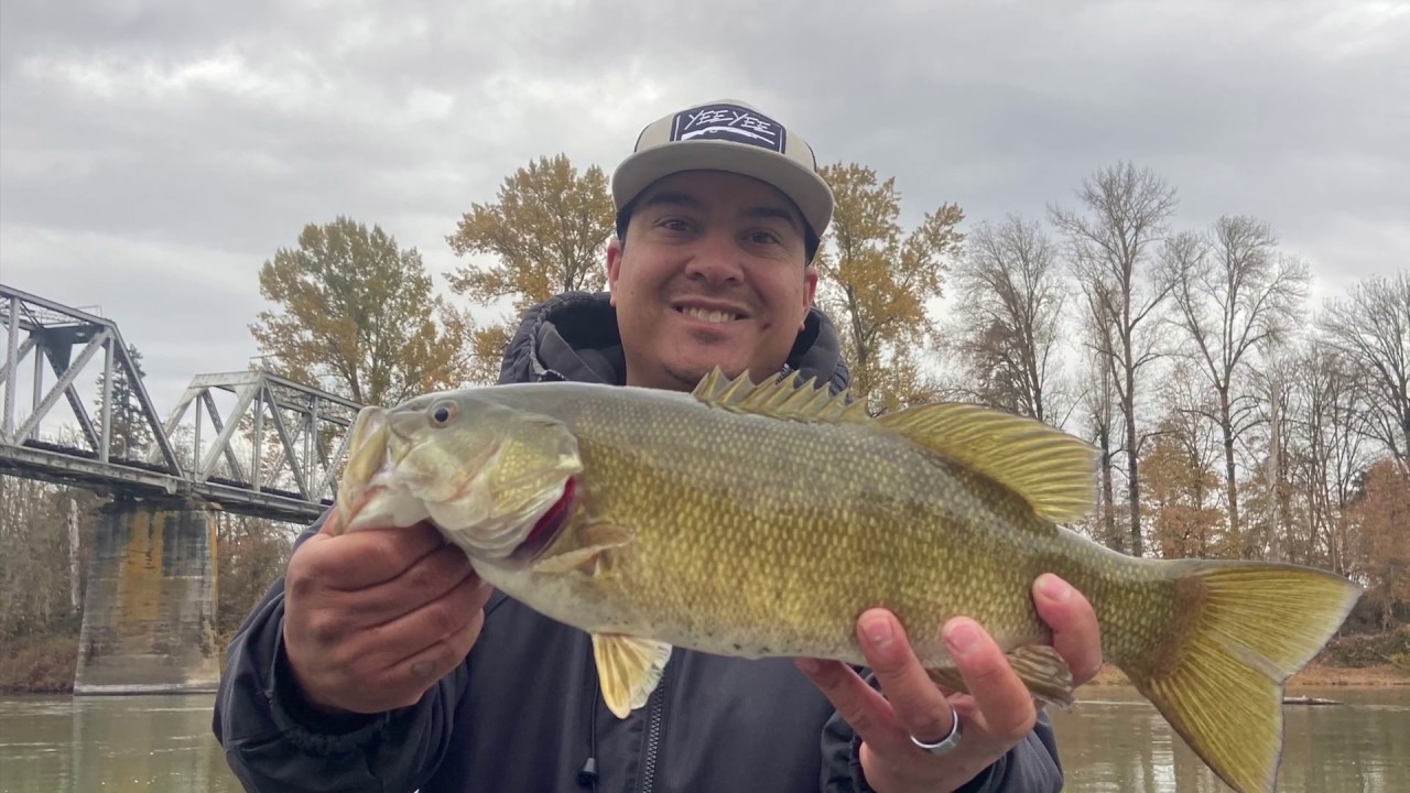 Smallmouth fishing In Albany Oregon YouTube
