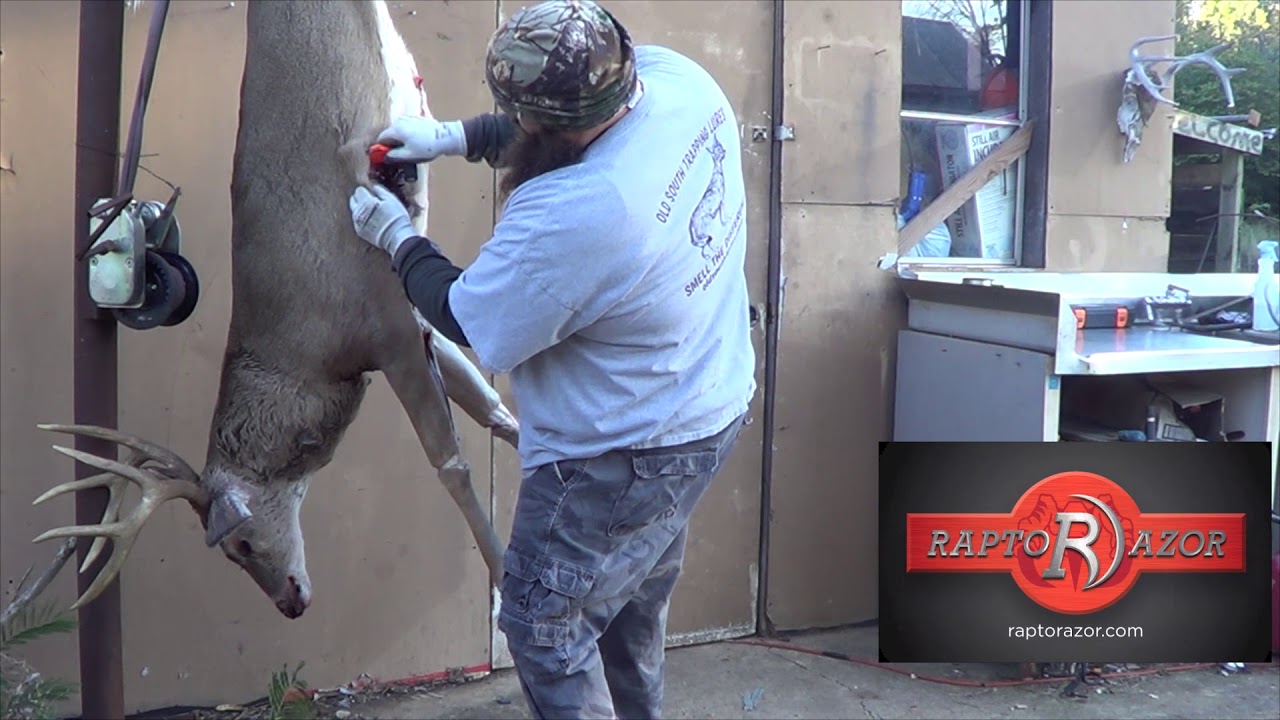 Caping Big Buck With Raptorazor