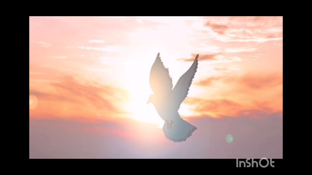 Los Cinco Minutos del Espíritu Santo 🕊️ 18 de agosto ✍🏻 por Monseñor Víctor Manuel Fernández 🌱