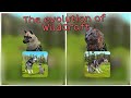 The evolution of WildCraft 2018-2019