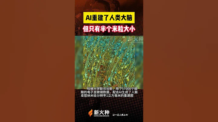 AI重建了人類大腦，但只有半個米粒大小！新火種AI人工智慧工具|Viggle文字與圖片生成視頻|人工智慧AI大模型|文生圖AI工具|文生視頻AI應用|文字圖片生成視頻應用模型 #shorts - 天天要聞