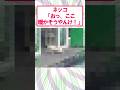 【2ch面白いスレ】ネッコ、暖かい場所を求めた結果www#2ch #2ch面白いスレ