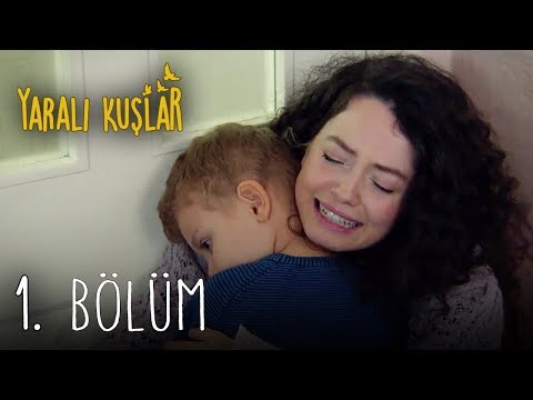 Yaralı Kuşlar 1. Bölüm | Wounded Birds Episode 1 (English Subtitle)