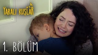 Yaralı Kuşlar 1. Bölüm | Wounded Birds Episode 1 (English Subtitle)