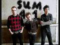 Confusion and Frustration in Modern Times - Sum 41 - Lyrics