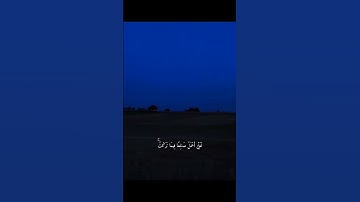 ما تيسر من سورة المؤمنون ❤️‍🩹