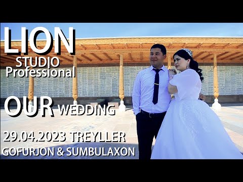 BERUNIY LION STUDIO