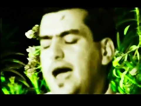 رحيم الهاشم بولايتك ياحيدر صفكات قديمه ارشيف ابو مجتبى المالكي