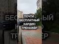 Семейная жизнь — лучший кардио-тренажёр (часть 2)  #юмор #семья #зал #мотивация #отношения #shorts