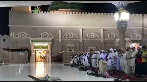 آيات عظيمة تجعلك تشتاق لمسجد رسول الله الشيخ أحمد بن طالب