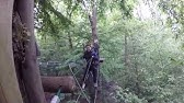 Goape Cockfosters Tarzan Swing Youtube