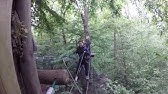 Goape Cockfosters Tarzan Swing Youtube Goape Cockfosters Tarzan Swing Youtube