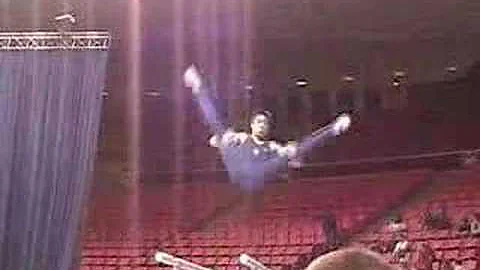 2006 NCAA team finals - Cal Berkeley - parallel bars