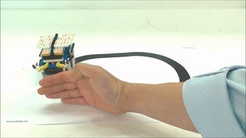 OLLO Explorer   Bug www.robotsepeti.com