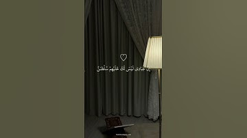 تلاوة تنسيك هموم الدنيا كلها😭💙 القارئ هزاع البلوشي💙.
