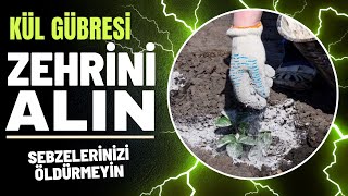 KÜL Gübresinin ZEHRİNİ alın sebzeleriniz ölmesin  II kül infüzyonu