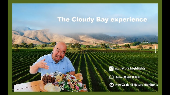 Cloudy Bay 2019 Sauvignon Blanc Value Wine Review (Wine Standards Series) 