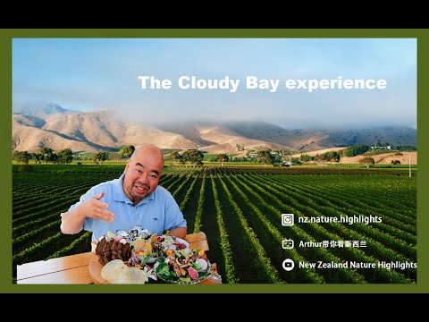 Cloudy Bay - Avvenice