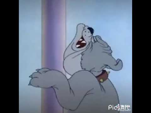 Tom and Jerry funny joke 🤣 😂 😆 - YouTube