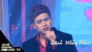 CÁNH HỒNG PHAI | PHIM CA NHẠC HỔ PHỤ NUÔI HỔ TỬ OST| HỒ QUANG HIẾU 2017