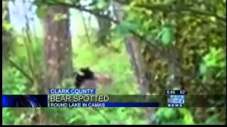 Black bear spotted at SW Washington lake
