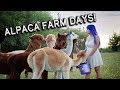 National Alpaca Farm Days | Tour My Farm, Learn About Alpacas
