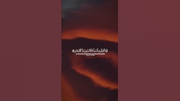 سورة الرحمن | فإذا أنشقت السماء فكانت وردة كالدهان🤍🤍🫀 القارئ #محمد_اللحيدان