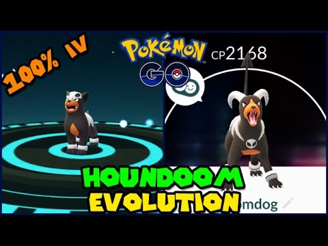 evolving 100 iv houndour to houndoom pokemon go gen 2 evolution houndour evolution chart